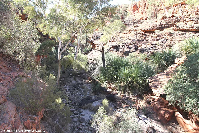 Kings Canyon Australie