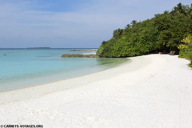 Ile hôtel Makunudu Island Maldives