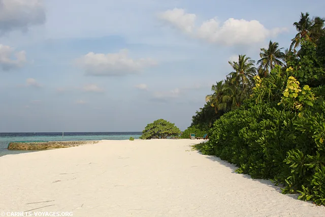 Ile hôtel Makunudu Island Maldives