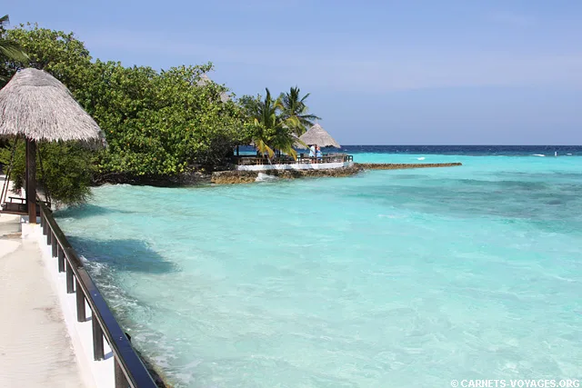 Ile hôtel Makunudu Island Maldives