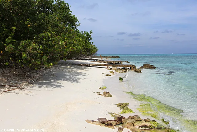 Ile hôtel Makunudu Island Maldives