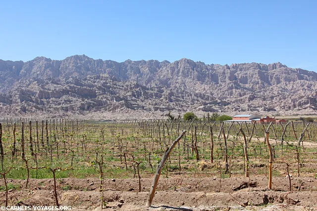 Molinos boucle sud Salta Argentine