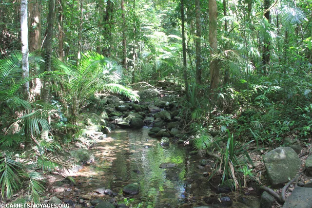 Mossman Gorge Australie