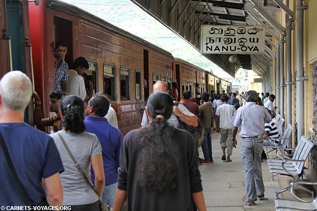 Gare Nanu Oya pour Nuwara Eliya Sri Lanka