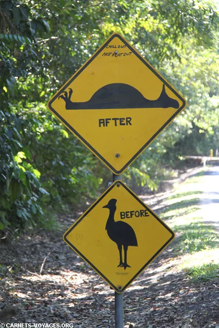 Panneau casoar before after forêt Daintree Australie