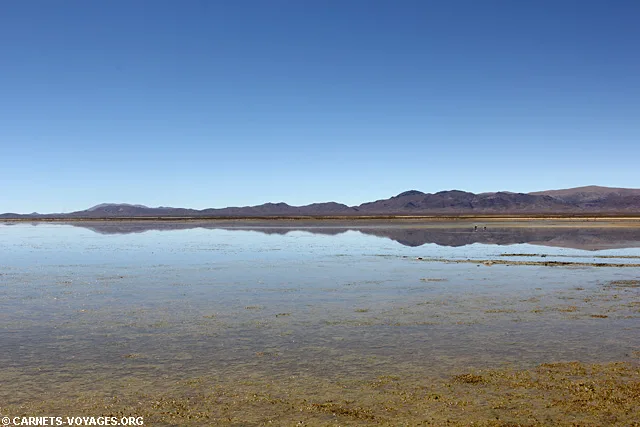 Lagune Los Pozuelos road trip nord ouest argentin