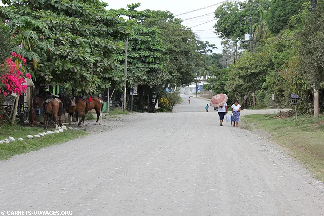 Puerto Jimenez Costa Rica