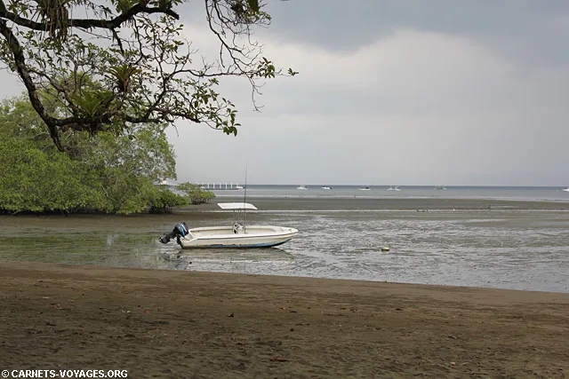 Puerto Jimenez Costa Rica