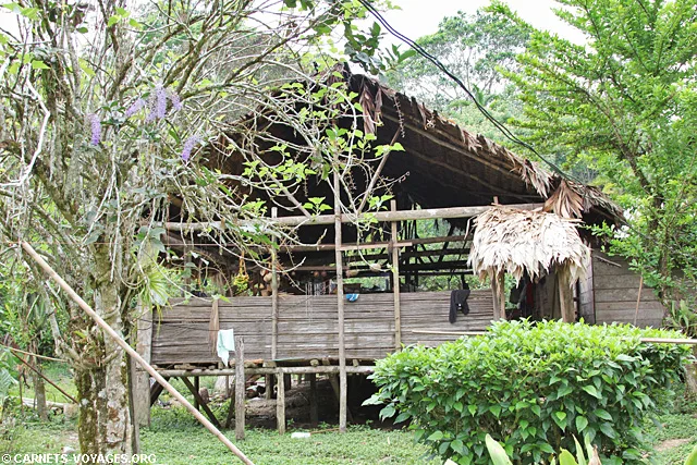 Réserve bribri Costa Rica