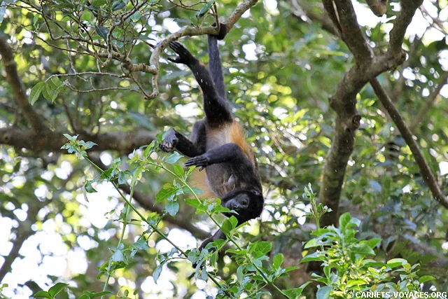 Parc National Rincon de la Vieja Guanacaste Costa Rica