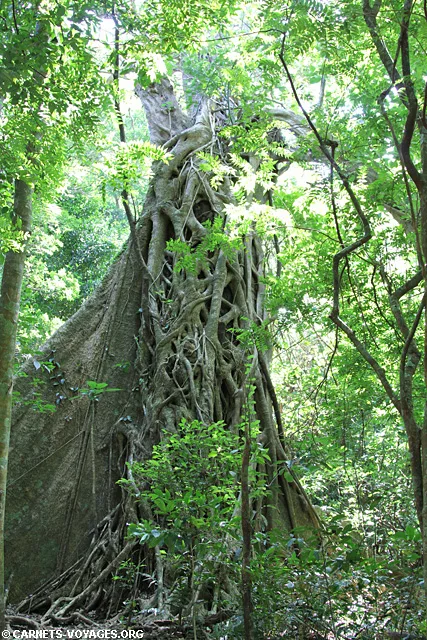 Parc National Rincon de la Vieja Guanacaste Costa Rica