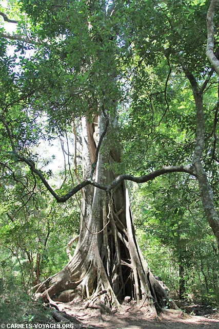 Parc National Rincon de la Vieja Guanacaste Costa Rica
