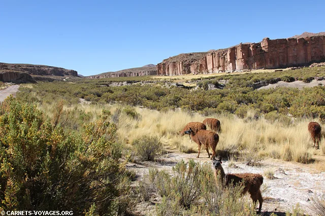Boucle nord Salta Argentine