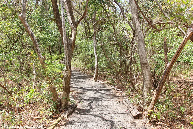 El Sendero Indio Desnudo parc santa rosa costa rica