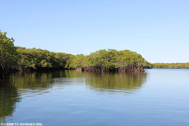 Ile Santa Cruz Galapagos