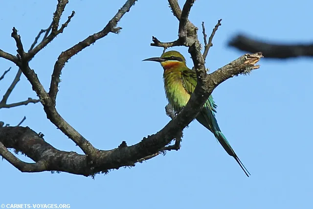 Tissamaharama Sri Lanka