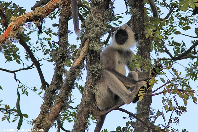 Tissamaharama Sri Lanka