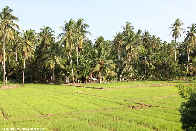 Tissamaharama Sri Lanka
