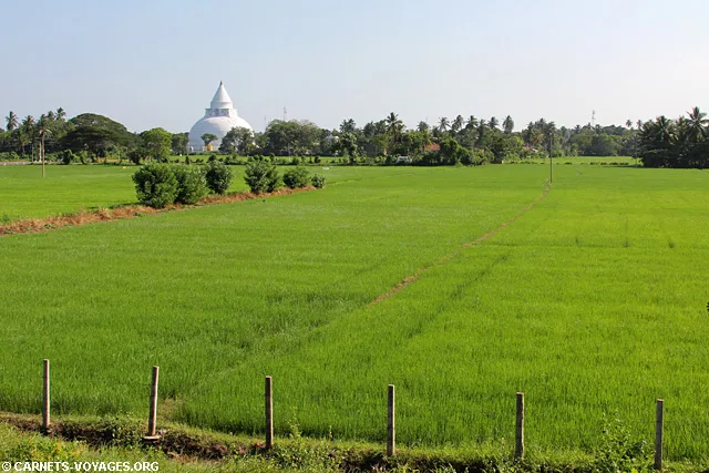 Tissamaharama Sri Lanka