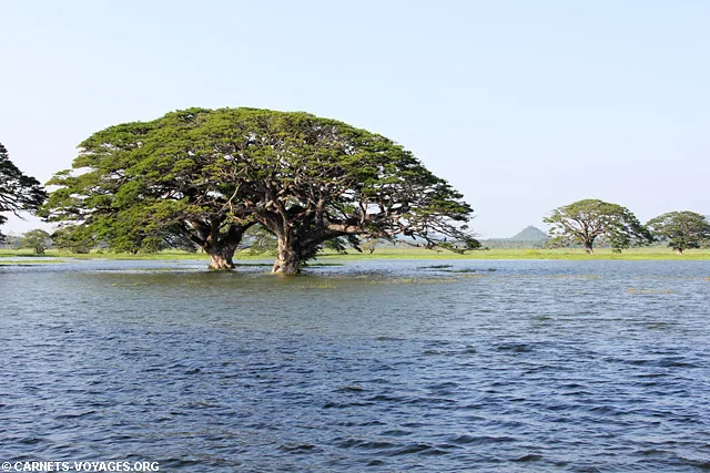 Tissamaharama Sri Lanka