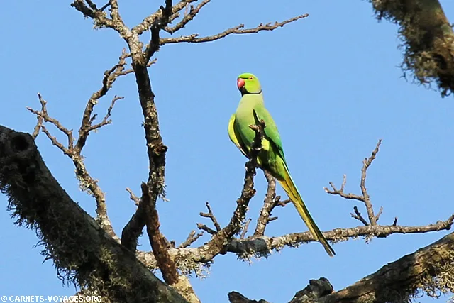 Tissamaharama Sri Lanka