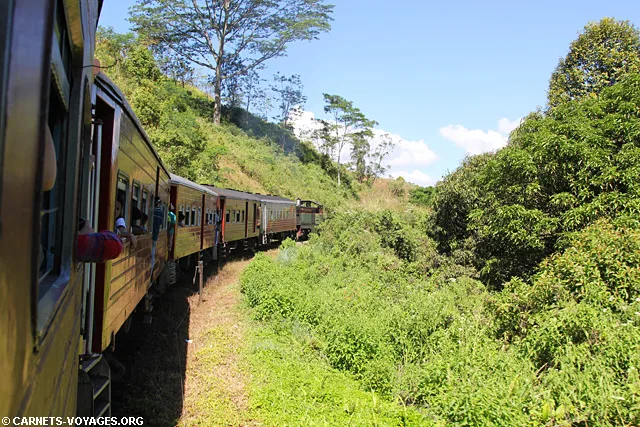 Trajet train Kandy Nuwara Eliya Sri Lanka