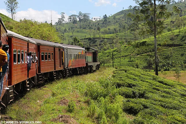 Trajet train Kandy Nuwara Eliya Sri Lanka