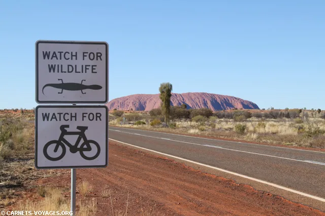 Uluru Visiter le centre rouge de l'Australie en road trip