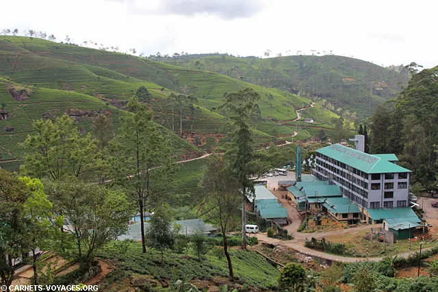 Fabrique thé Labookellie Mackwoods Nuwara Eliya Sri Lanka