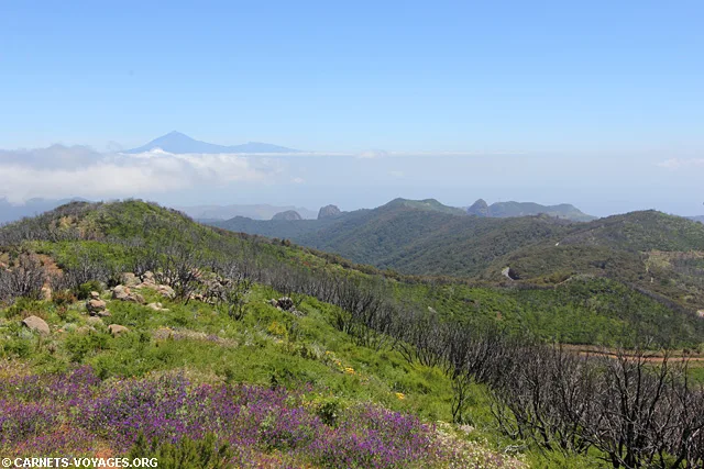 Randonnée la Gomera Parc Garajonay Canaries Espagne