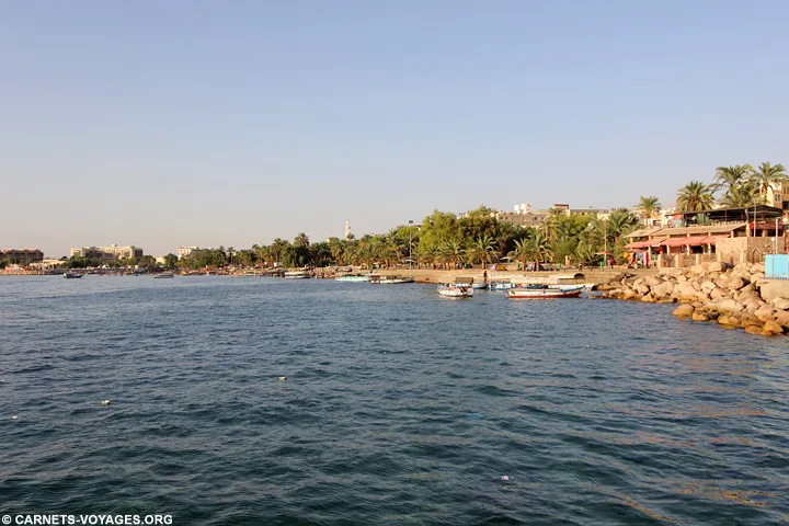 Aqaba road trip Jordanie
