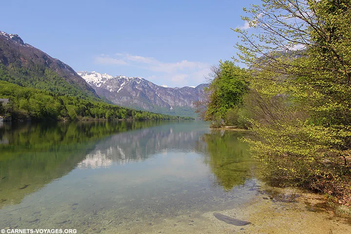 Visiter le lac Bohinj Slovénie