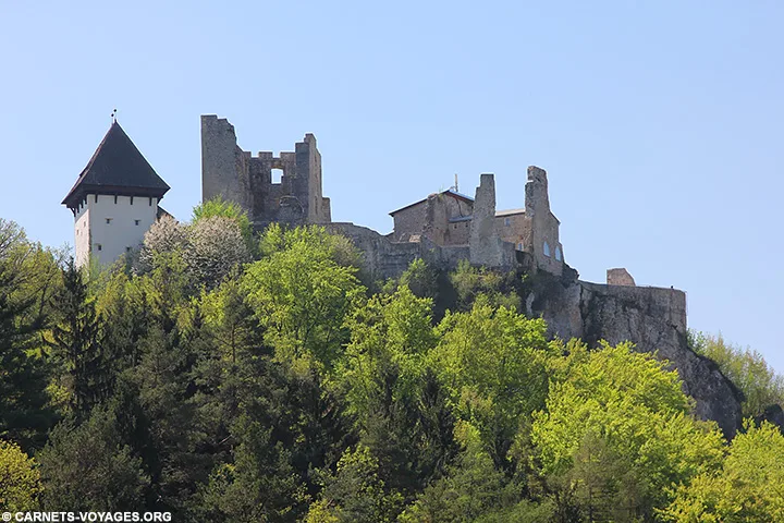 Vieux château de Celje Slovénie