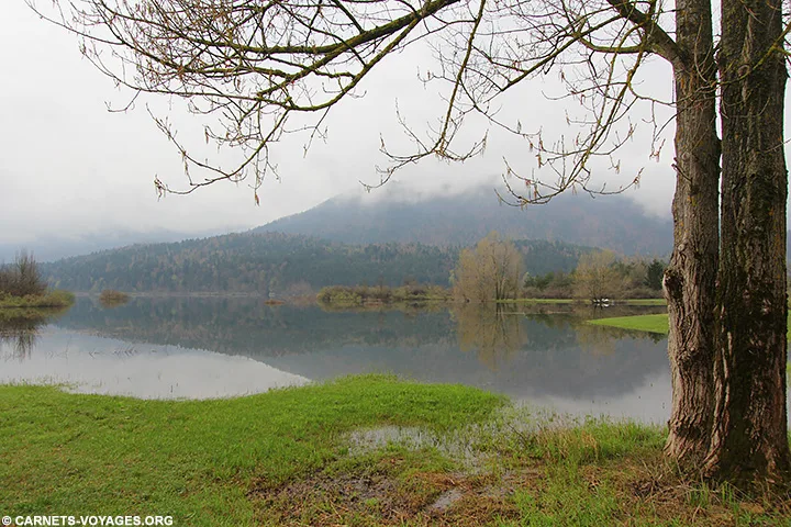 Lac cerknica Slovénie