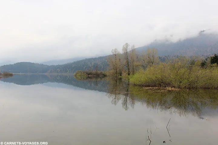 Lac cerknica Slovénie