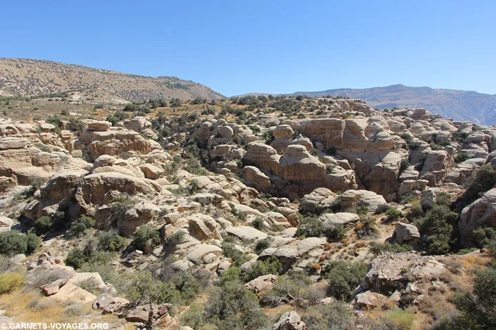 Randonnée réserve Dana Jordanie