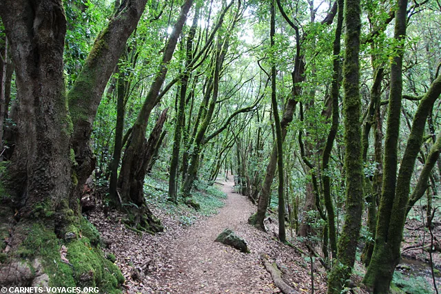 Randonnée La Gomera Canaries Espagne