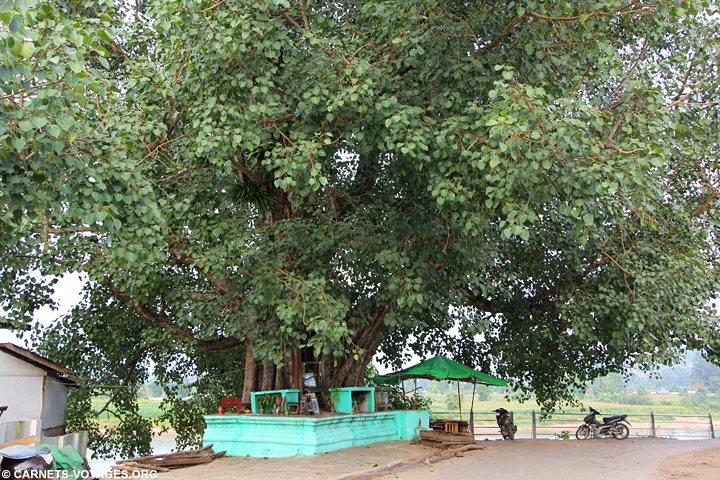 Hsipaw Birmanie