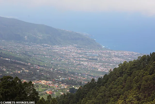 Randonnée Los Organos Tenerife îles Canaries Espagne