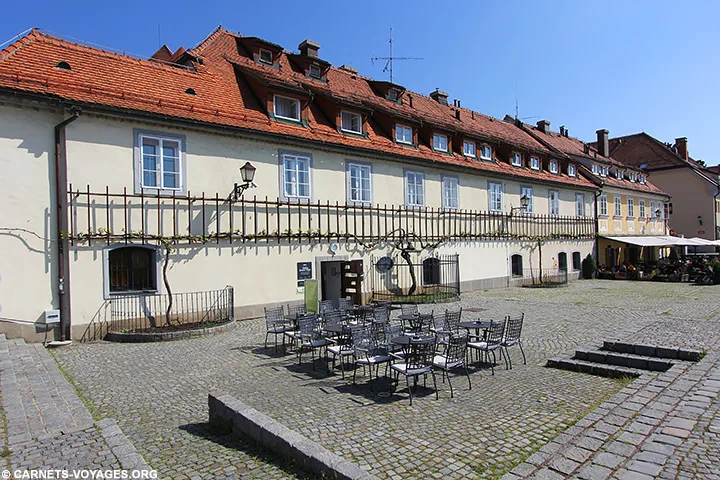 Vigne de 400 ans Maribor Slovénie
