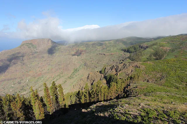 Randonnée la Gomera Parc Garajonay Canaries Espagne