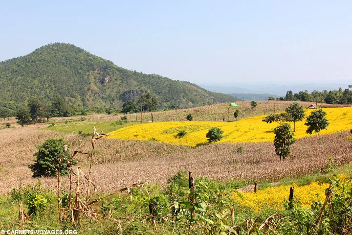 Trek Hsipaw - village Pankam