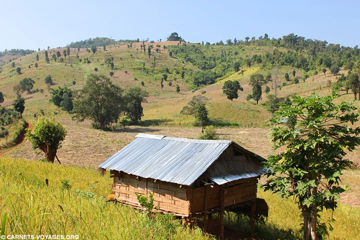 Trek Hsipaw - village Pankam