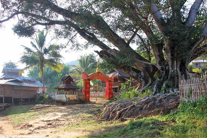 Trek Hsipaw - village Pankam