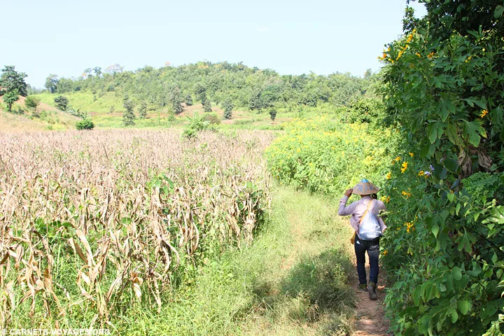 Trek village Pankam
