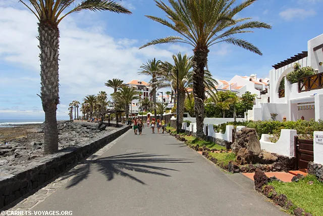 Tenerife Iles Canaries Espagne