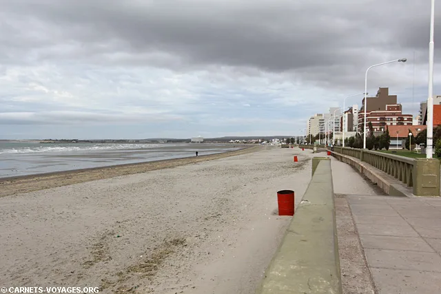Puerto Madryn Péninsule Valdés Argentine