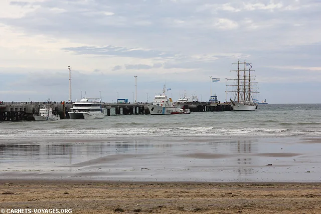 Puerto Madryn Péninsule Valdés Argentine