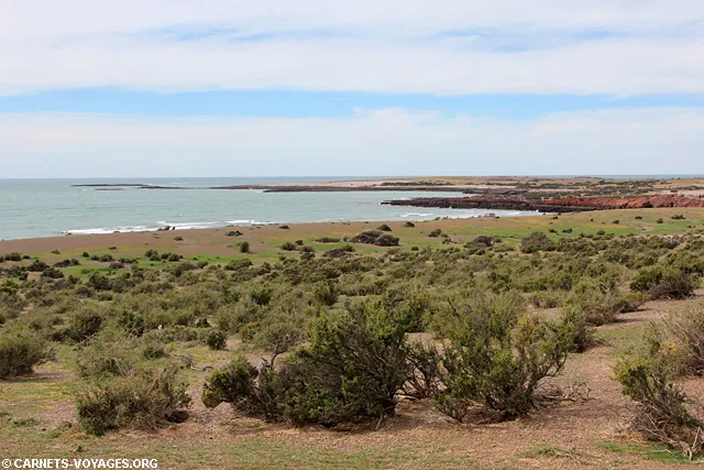 Punta Tombo Argentine