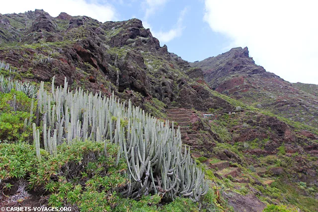 Randonnée à Afur Taganana Tenerife îles Canaries Espagne